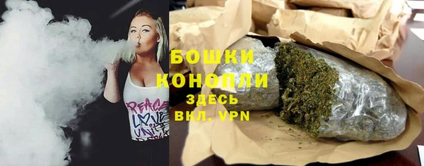 PSILOCYBIN Богородицк