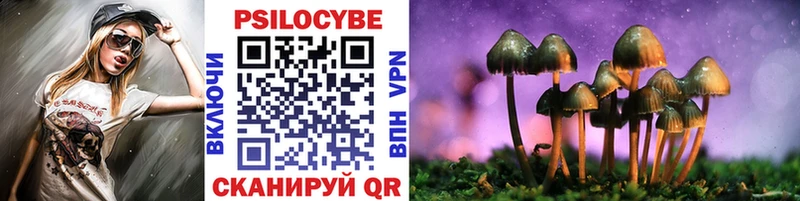 OMG ссылка  Калуга  Псилоцибиновые грибы MAGIC MUSHROOMS 