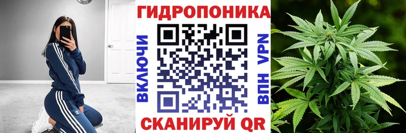 Канабис планчик  продажа наркотиков  Калуга 